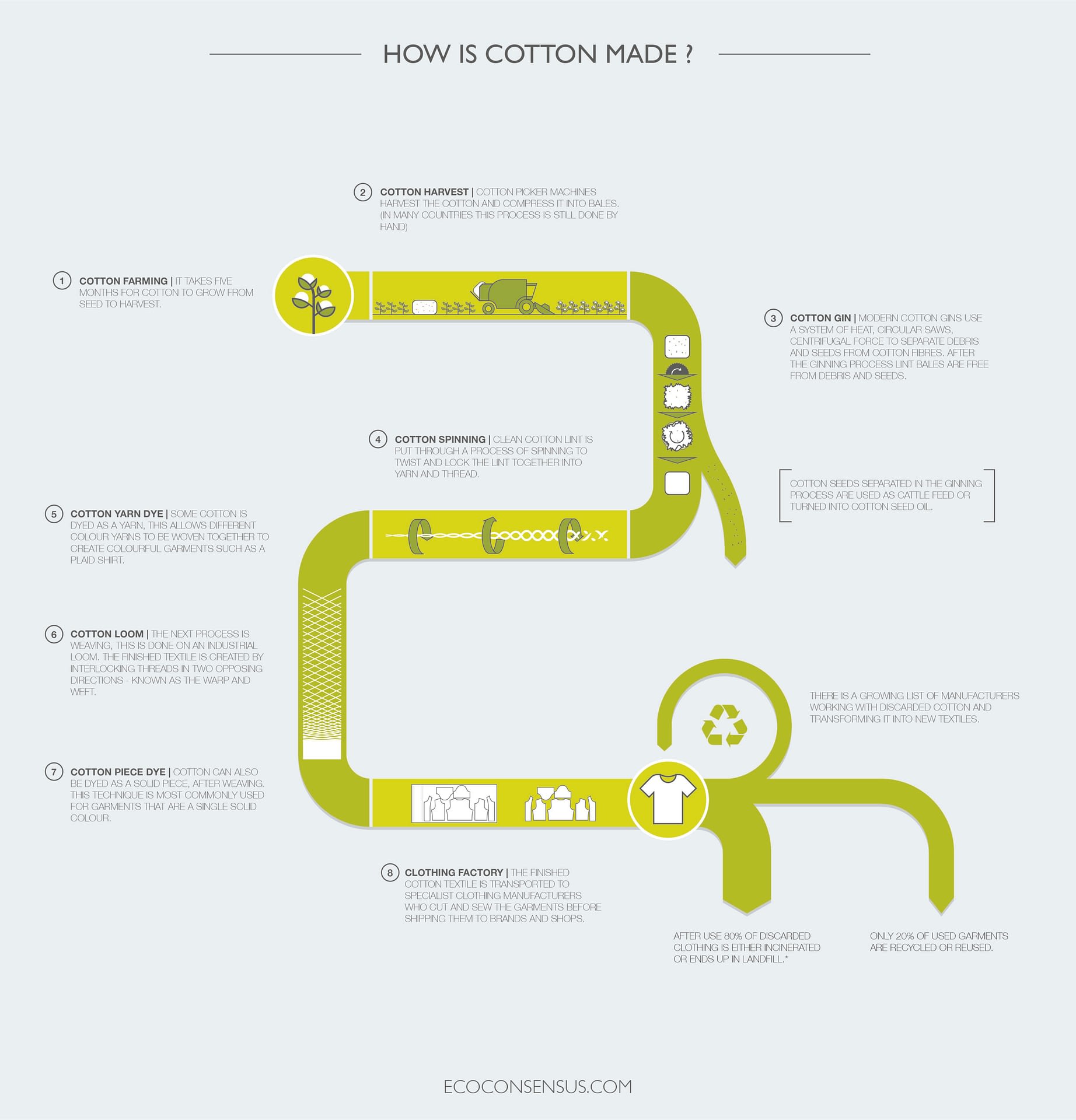 how-is-cotton-made-infographic-eco-consensus